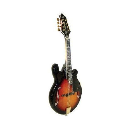 Gold Tone GM-110 Mandolin