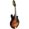 Gold Tone GM-110 Mandolin