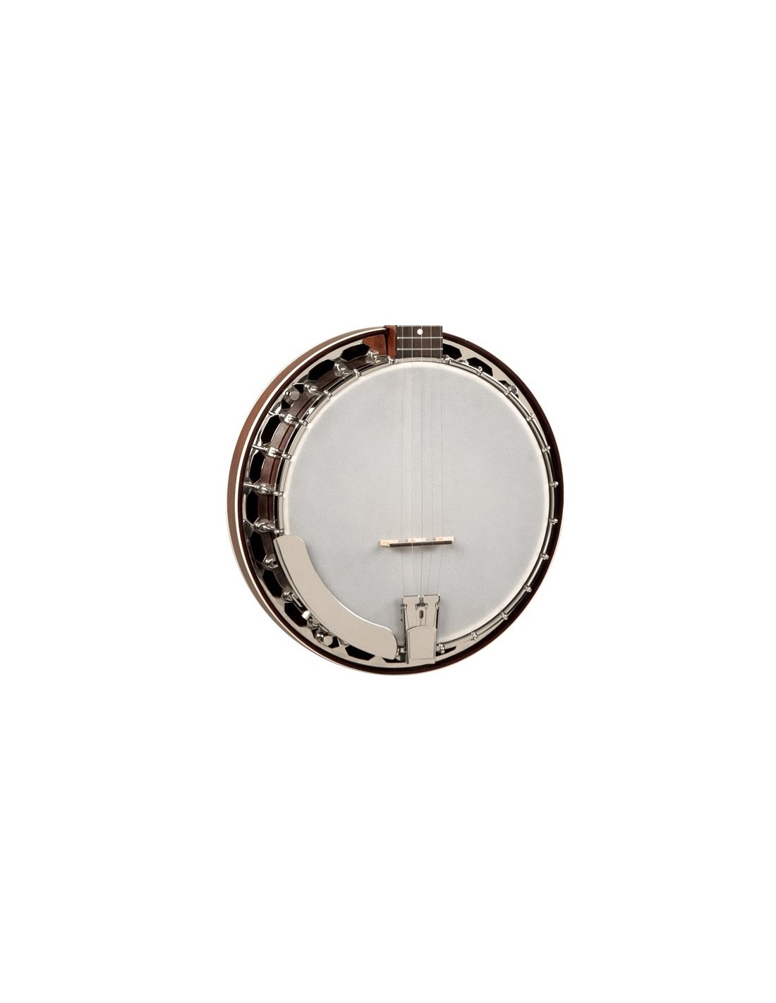 Recording King Beginner Banjos RK R15 Madison Rambler