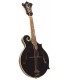 Mandolin - Saga - Kentucky Standard Model F Mandolin - KM620B