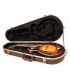 Mandolin Case - Deluxe Mandolin ABS Hardshell Case - F Model CB-320 (without purchase of mandolin-only in U.S.)