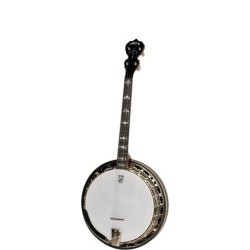 Deering Sierra 17-Fret Tenor Banjo