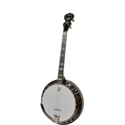 Deering Sierra 19-Fret Tenor Banjo