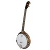 DEERING BOSTON 6-STRING BANJO