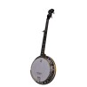 DEERING DELUXE 5-STRING BANJO