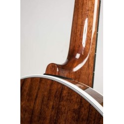 DEERING DELUXE 5-STRING BANJO