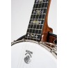 DEERING DELUXE 5-STRING BANJO