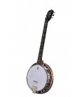 Deering Deluxe 6-String Banjo