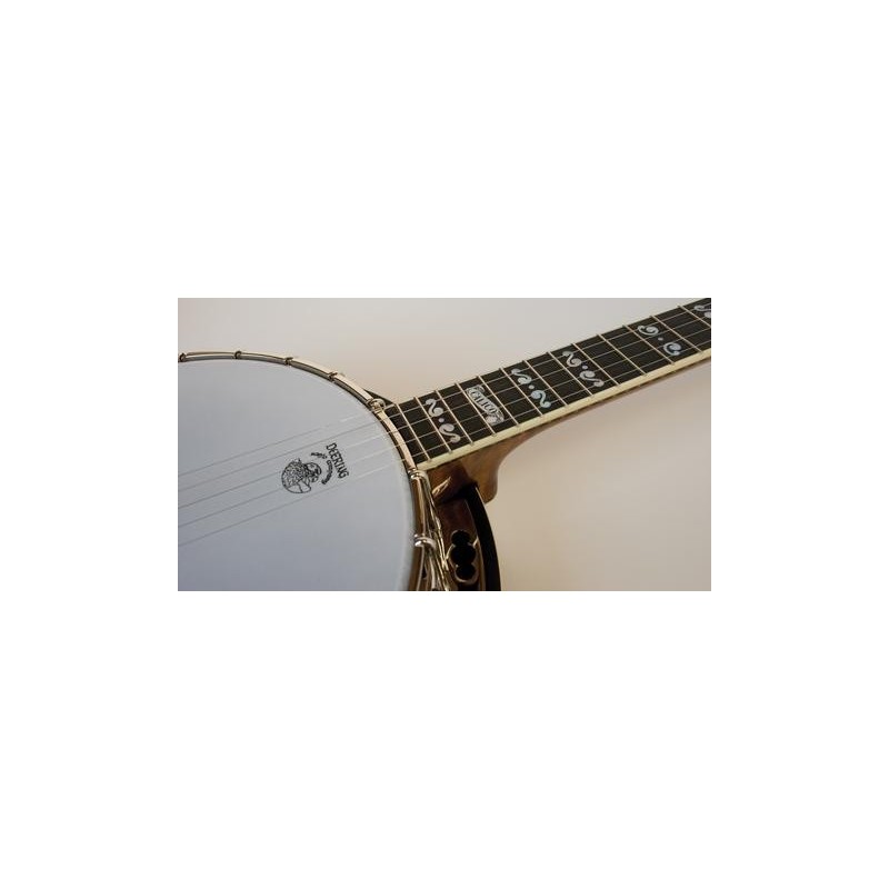 Deering calico banjo for sale deals