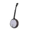 DEERING EAGLE II 5-STRING BANJO