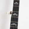 DEERING EAGLE II ACOUSTIC/ELECTRIC 5-STRING BANJO