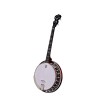 DEERING EAGLE II 19-FRET TENOR BANJO