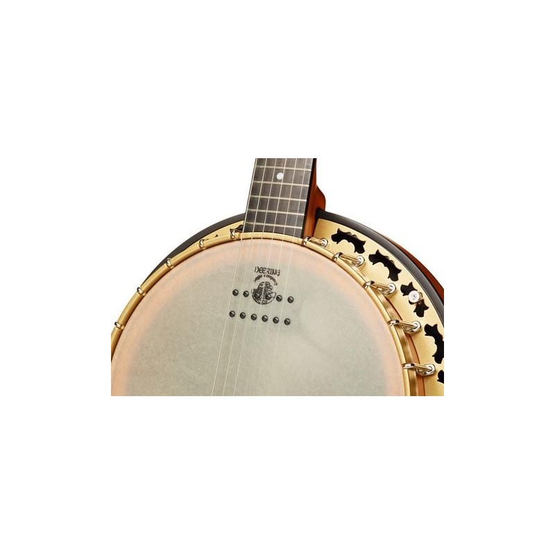 DEERING PHOENIX ACOUSTIC/ELECTRIC 6-STRING BANJO