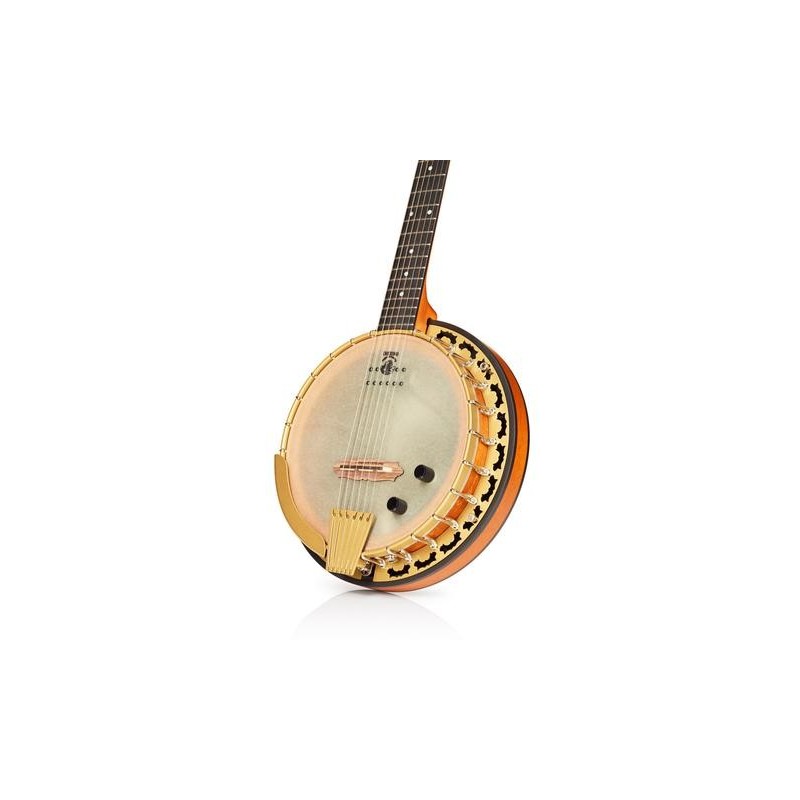 DEERING PHOENIX ACOUSTIC/ELECTRIC 6-STRING BANJO