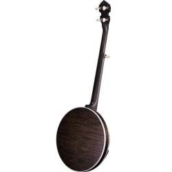 DEERING JOHN HARTFORD 5-STRING BANJO