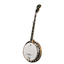 DEERING TERRY BAUCOM MODEL BANJO