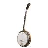 DEERING TERRY BAUCOM MODEL BANJO