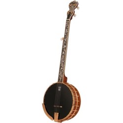 Deering David Holt Model Banjo