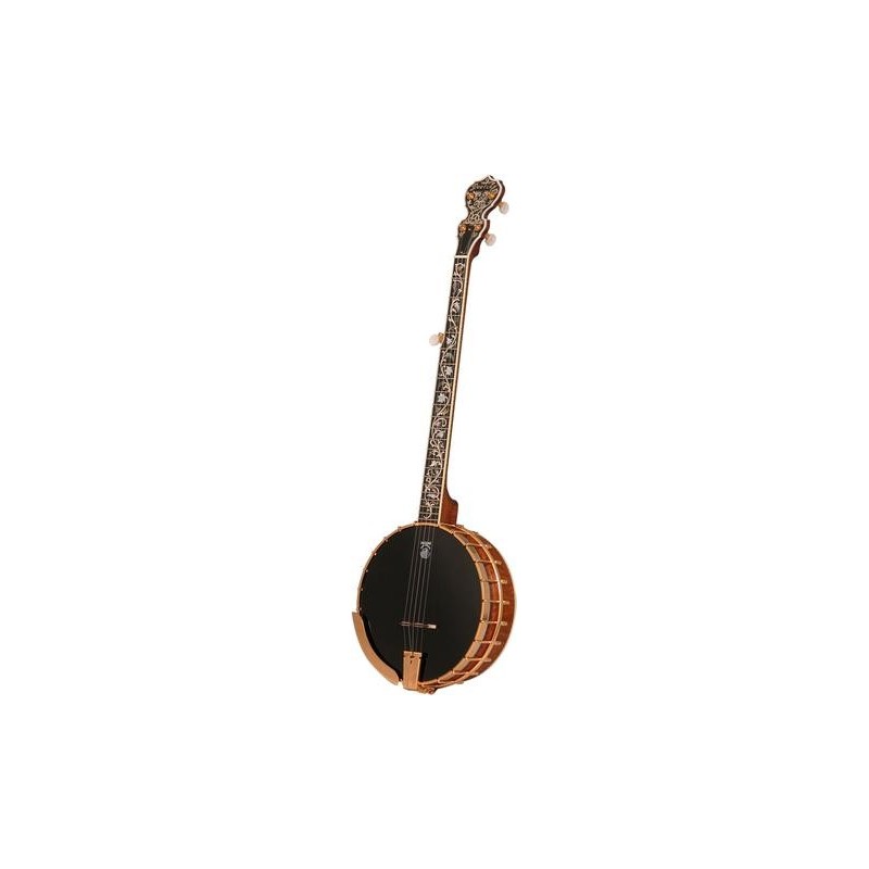 DEERING DAVID HOLT MODEL BANJO