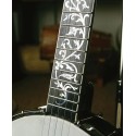 DEERING DAVID HOLT MODEL BANJO