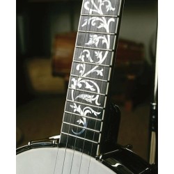 DEERING DAVID HOLT MODEL BANJO