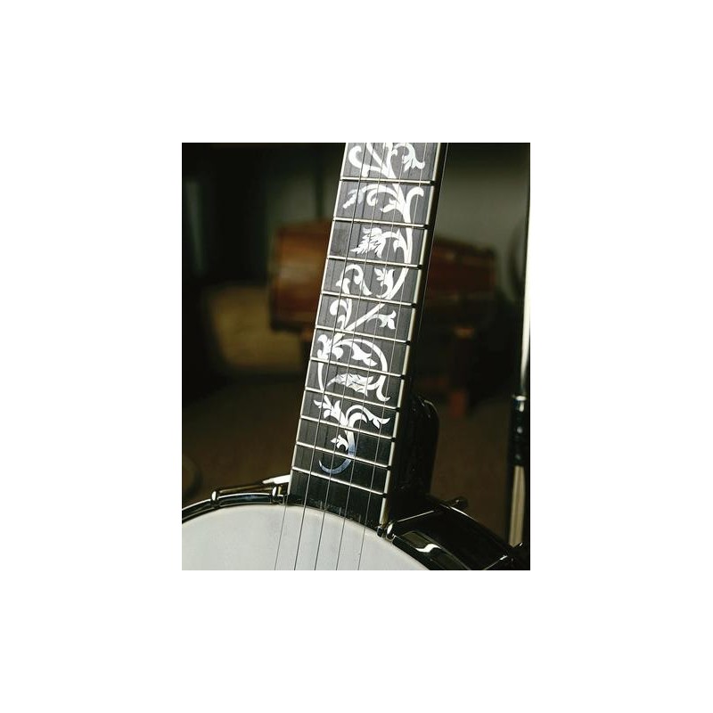 DEERING DAVID HOLT MODEL BANJO