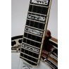 TONY TRISCHKA SILVER CLIPPER BANJO