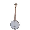 DROPKICK MURPHYS GOODTIME 19-FRET TENOR BANJO