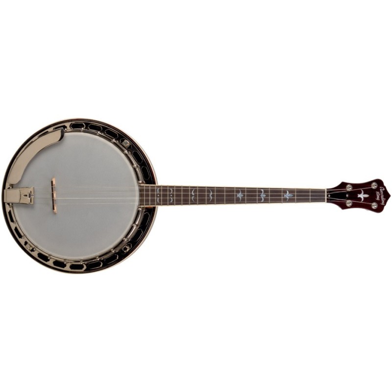 Recording King Madison Tenor Banjo RK-T36