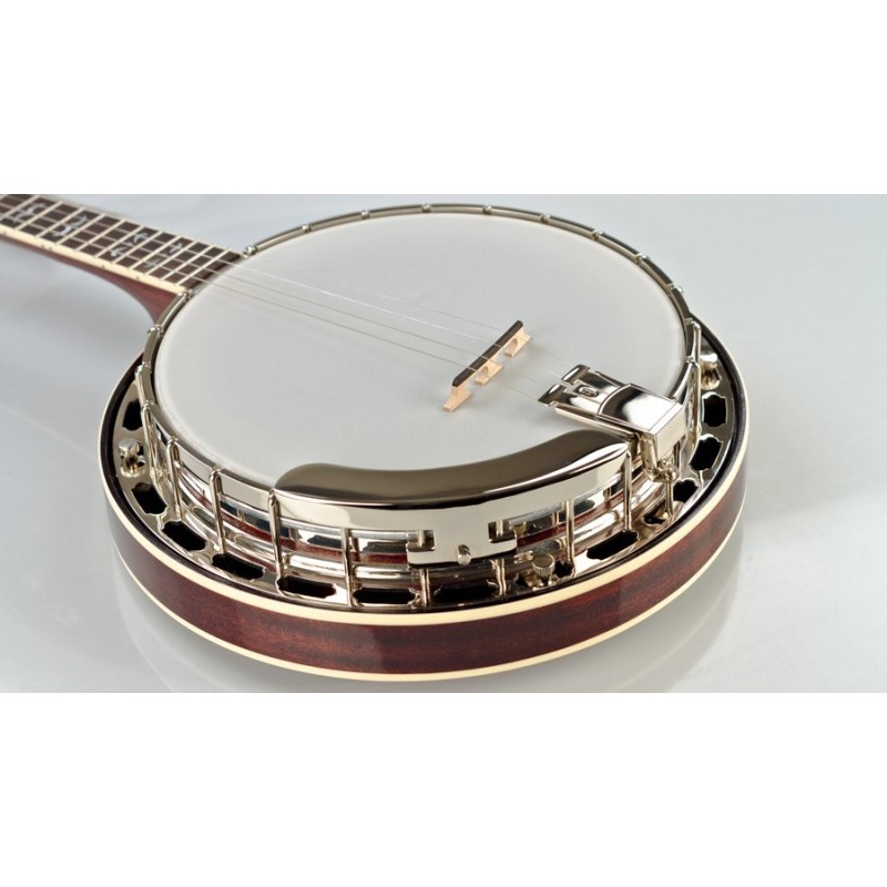 Recording King Madison Tenor Banjo RK-T36