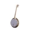 Deering Dropkick Murphy Goodtime TWO 19-Fret Tenor Banjo