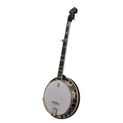 DEERING TENBROOKS SARATOGA STAR BANJO