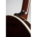 DEERING TENBROOKS SARATOGA STAR BANJO