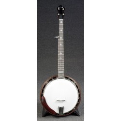 Nechville - Flex-Tone - Affordable US Made Bluegrass Banjo