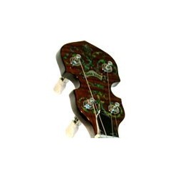 Gold Tone TS-250 AT Tenor Special | Crisp Archtop Tone | Best Price