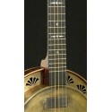 NEW DESIGN - RESOPHONIC BANJO