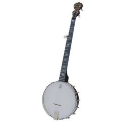 Deering Artisan Banjo - Free Deering Case and Beginner Kit - Demo Version Available