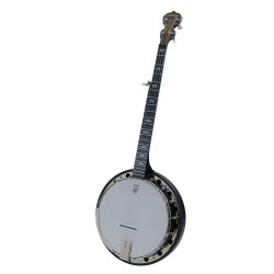 Deering Artisan Goodtime 2 Banjo - Free Guardian Hard Shell Case