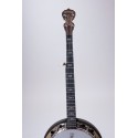 DEERING ARTISAN GOODTIME TWOBANJO