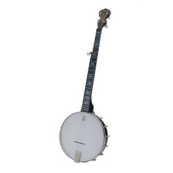 DEERING ARTISAN GOODTIME SPECIAL OPENBACK BANJO