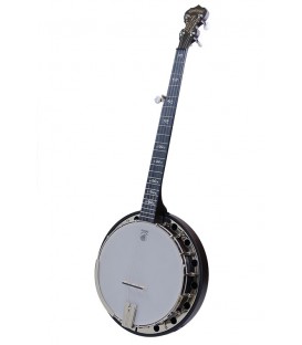 Deering Artisan Goodtime Special Banjo - SPECIAL SALE - Free Official Deering Hard Shell Case Included for a limited time