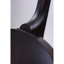 DEERING ARTISAN GOODTIME SPECIAL BANJO