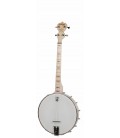 Deering Goodtime 4-String 19 Fret Tenor Banjo