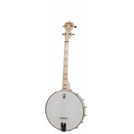 Deering Goodtime 4-String 19 Fret Tenor Banjo