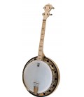 Deering Goodtime Two 17-Fret Irish Tenor Banjo