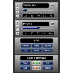 Song Surgeon -  Video Surgeon - Slow Down Banjo Music and You Tube