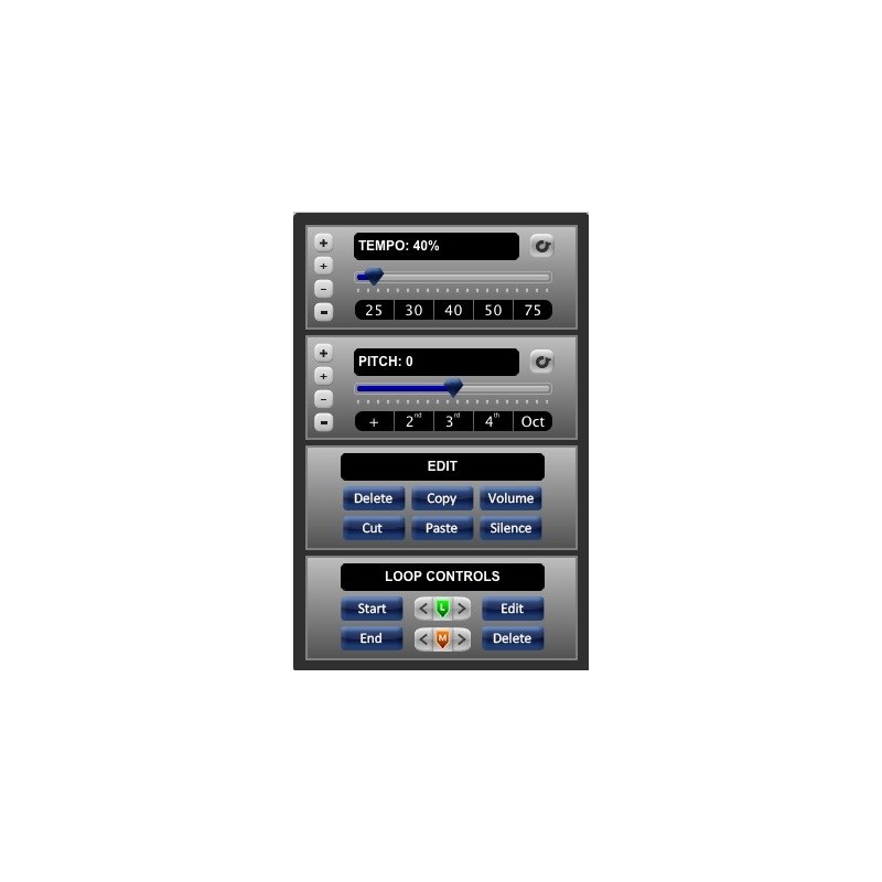 Song Surgeon -  Video Surgeon - Slow Down Banjo Music and You Tube