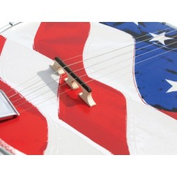 Morgan Monroe Old Glory