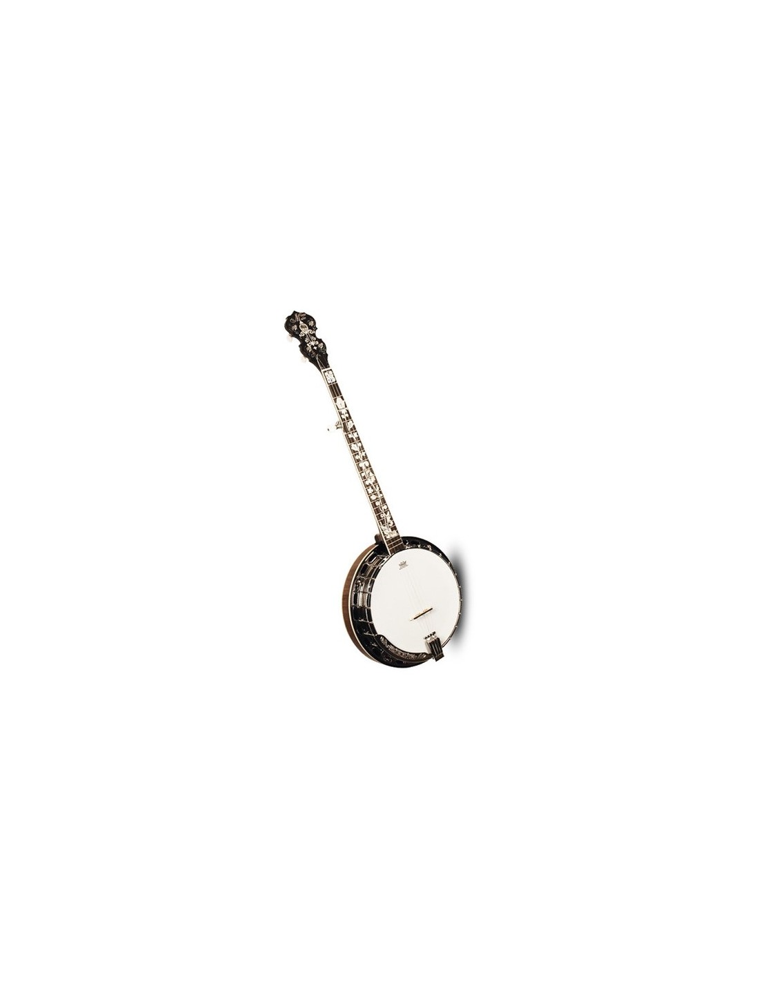 reading morgan monroe banjo serial numbers reading morgan monroe banjo serial numbers