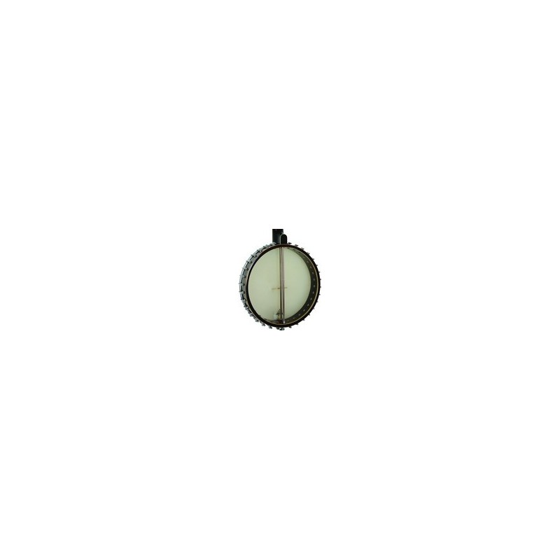 Gold Tone LOJO banjo
